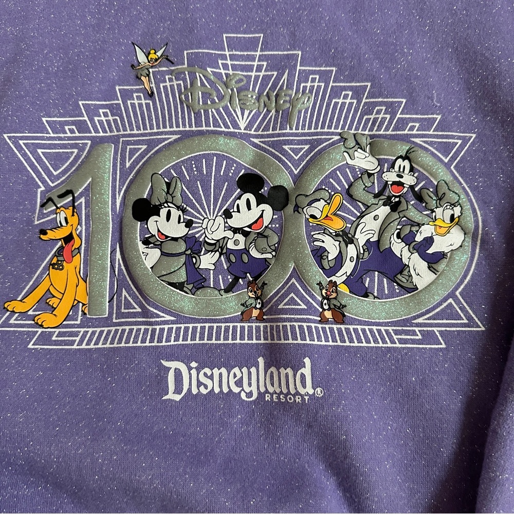 Disneyland 100 Anniversary Kids Sparkle Sweatshirt - Picture 2 of 6